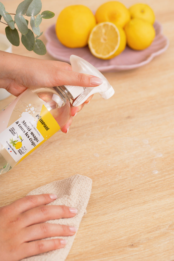 Bouteille spray multi usages rechargeable - 2