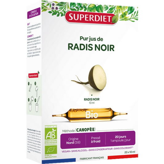 Radis noir bio (allié du foie) - 1